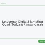 Lowongan Digital Marketing Gojek Terbaru Pangandaran